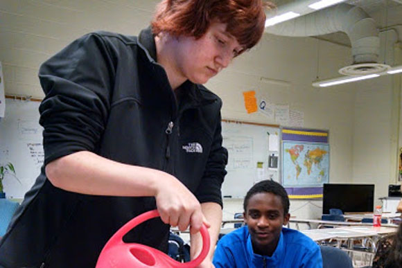 Students conduct a science experiment in the classroom.