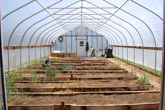 The Whitefish Township Greenhouse
