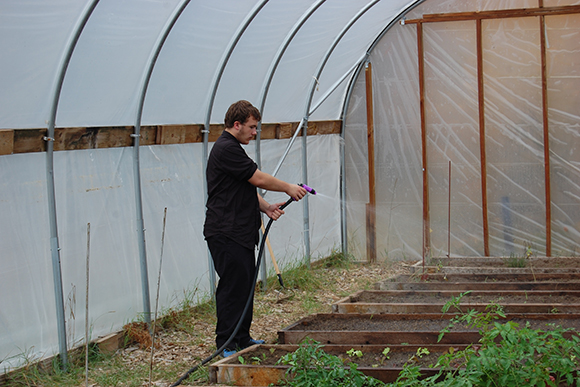 Students taking care of daily greenhouse duties