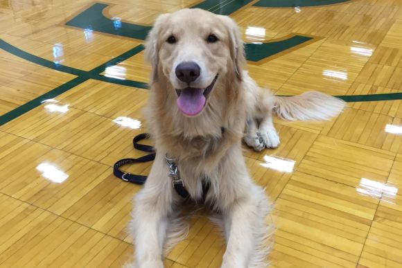 Dash enjoys his time at Traverse City West Middle School.