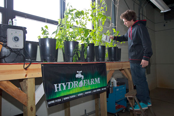 Superior Central student Eli Pasanen adds fertilizer to tomato plants.